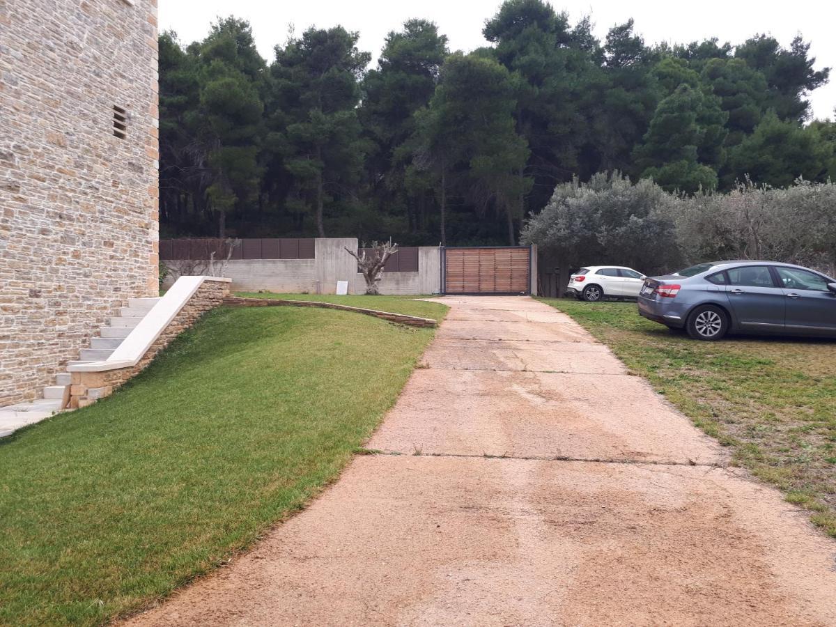 Villa Kalamos / Sea View And Pool Nearby Athens ภายนอก รูปภาพ