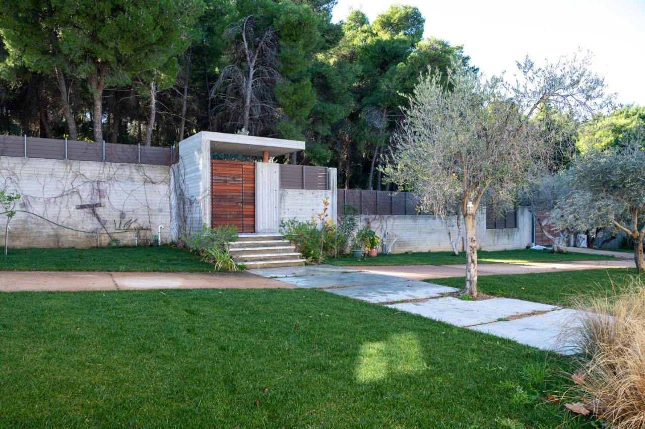 Villa Kalamos / Sea View And Pool Nearby Athens ภายนอก รูปภาพ