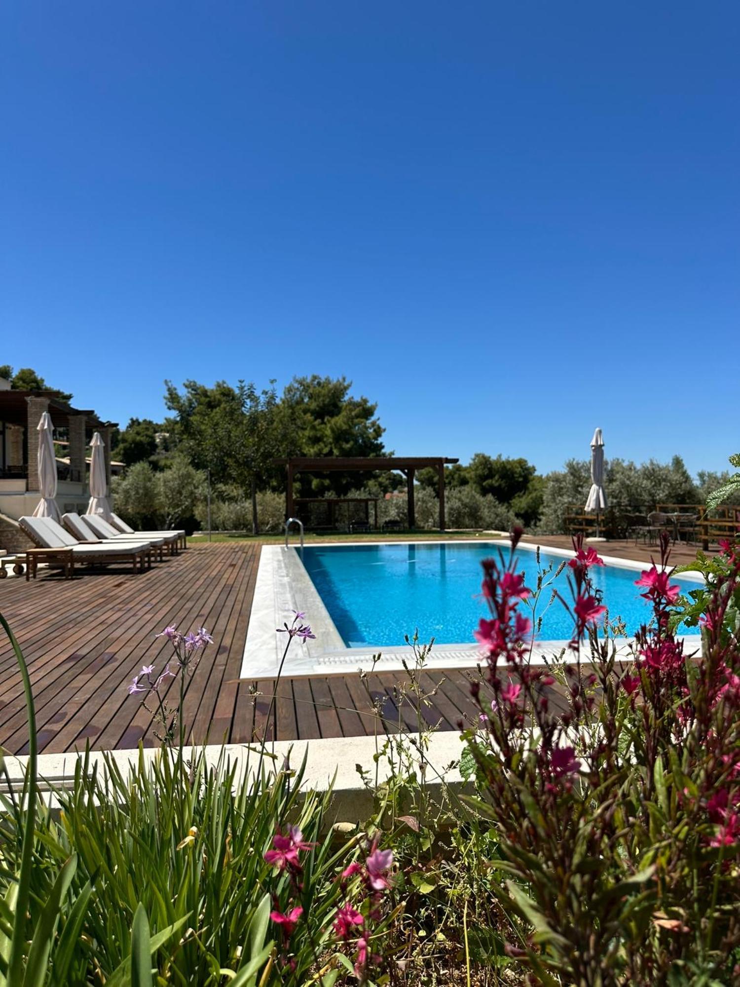 Villa Kalamos / Sea View And Pool Nearby Athens ภายนอก รูปภาพ